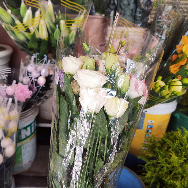 Hoa cát tường
